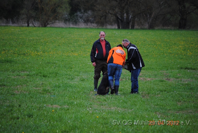 Prüfung 2012 April.039.jpg
