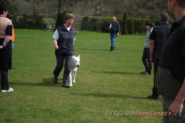 Prüfung 2012 April.062.jpg