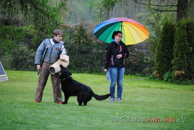 12.05.13 Prüfung 0103.jpg