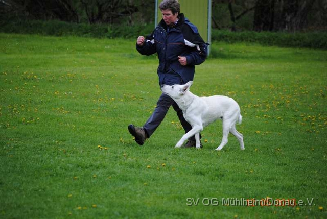 12.05.13 Prüfung 013.jpg