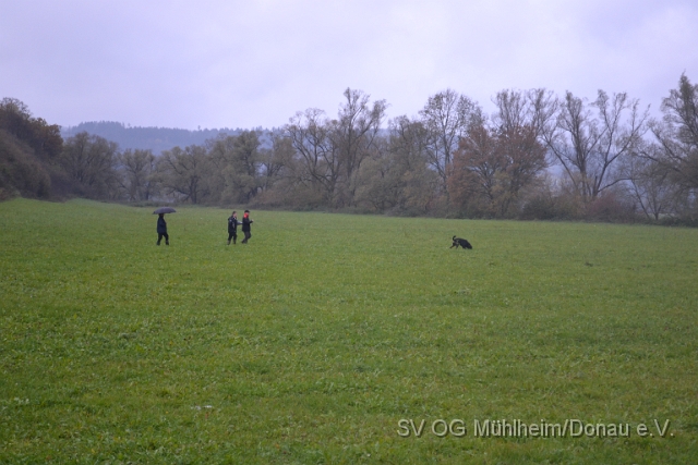 DSC_0096.JPG