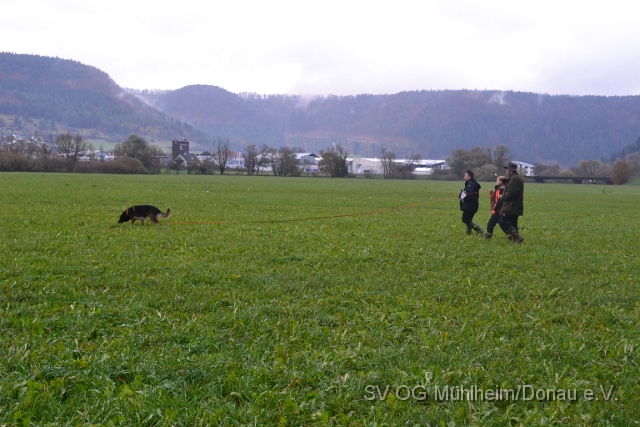DSC_0110.JPG