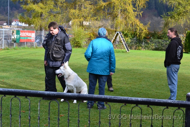 DSC_0131.JPG