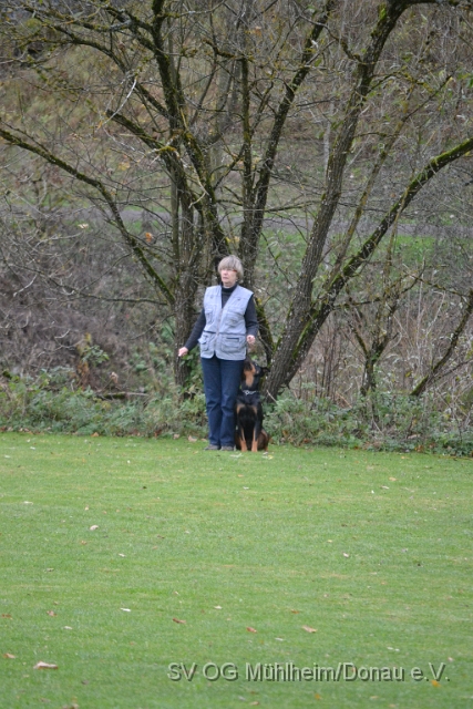 DSC_0185.JPG