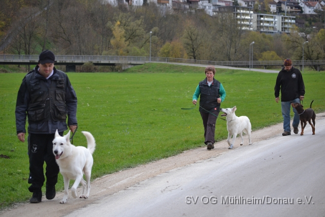 DSC_0284.JPG
