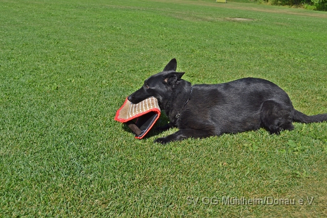 DSC_0181-vert.jpg
