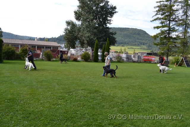 DSC_0024.JPG