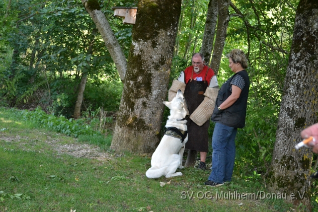 DSC_0046.JPG
