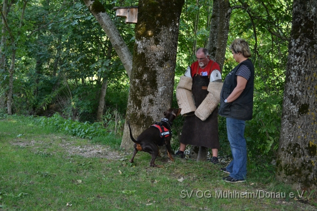 DSC_0047.JPG
