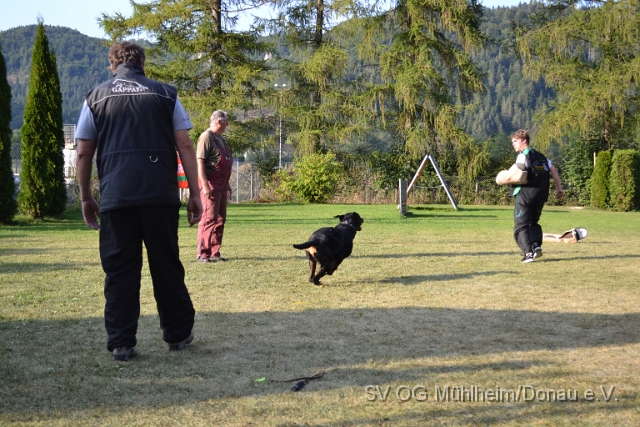 DSC_0067.JPG