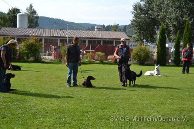 DSC_030.JPG