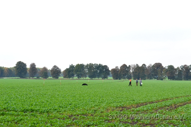 DSC_1531.JPG