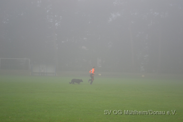 DSC_1545.JPG