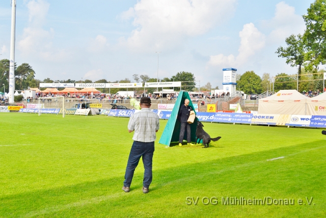 DSC_1561.JPG