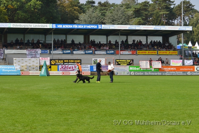 DSC_1569.JPG