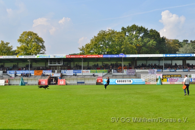 DSC_1570.JPG