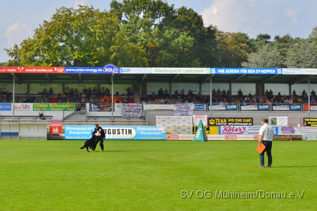 DSC_1572.JPG