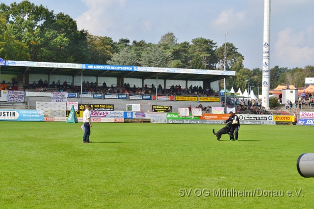 DSC_1573.JPG