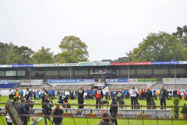 DSC_1597.JPG