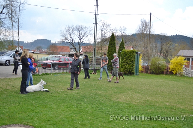 DSC_0806.JPG