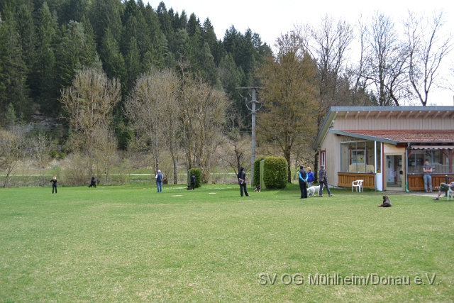 DSC_0811.JPG