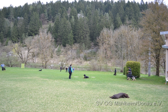 DSC_0812.JPG