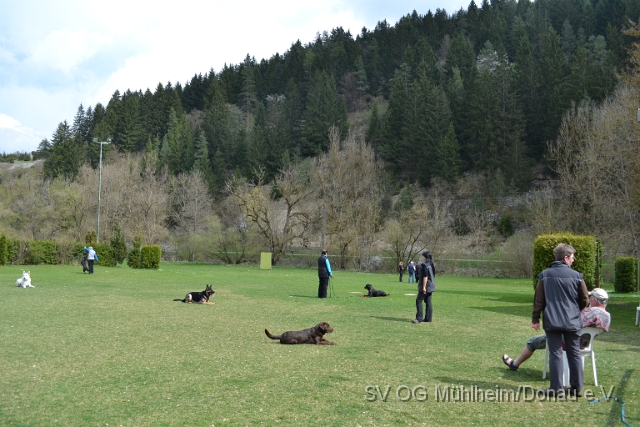 DSC_0813.JPG