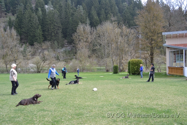 DSC_0816.JPG