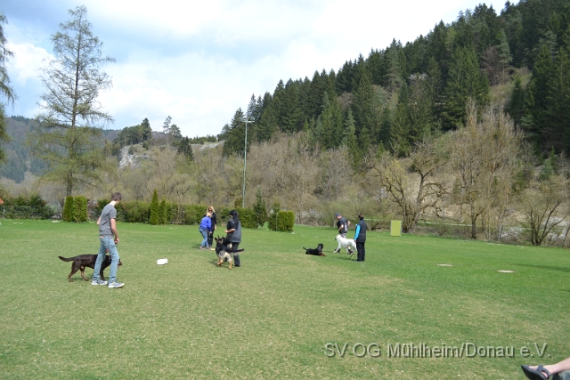 DSC_0819.JPG