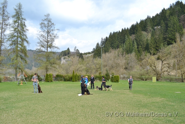 DSC_0820.JPG