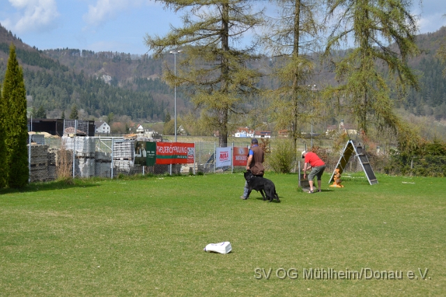 DSC_0823.JPG