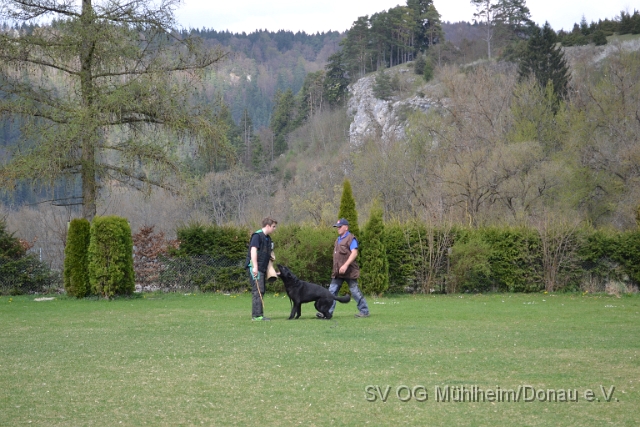 DSC_0828.JPG