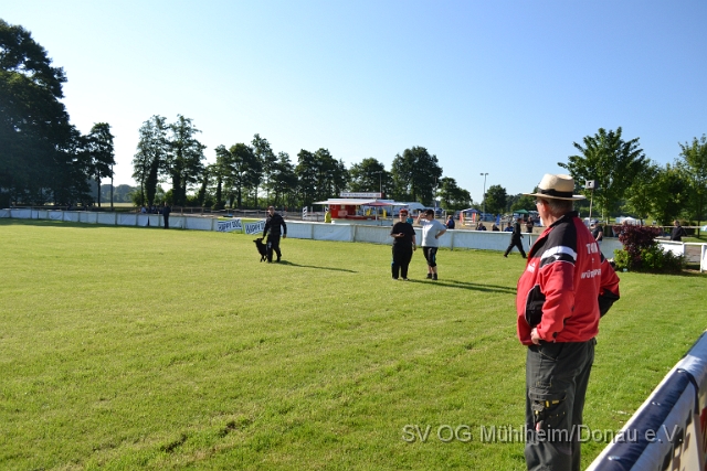 DSC_1183.JPG