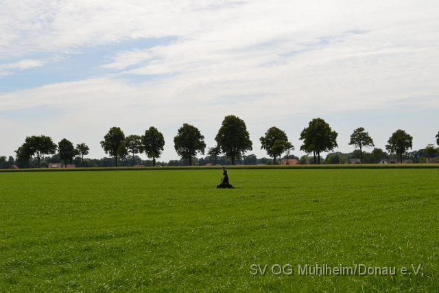 DSC_1215.JPG