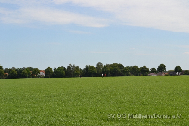 DSC_1219.JPG