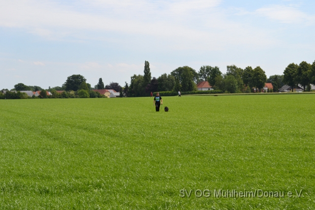DSC_1221.JPG