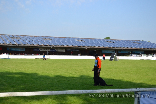 DSC_1228.JPG