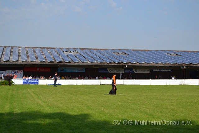 DSC_1229.JPG