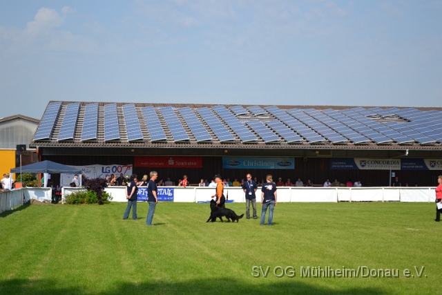 DSC_1232.JPG