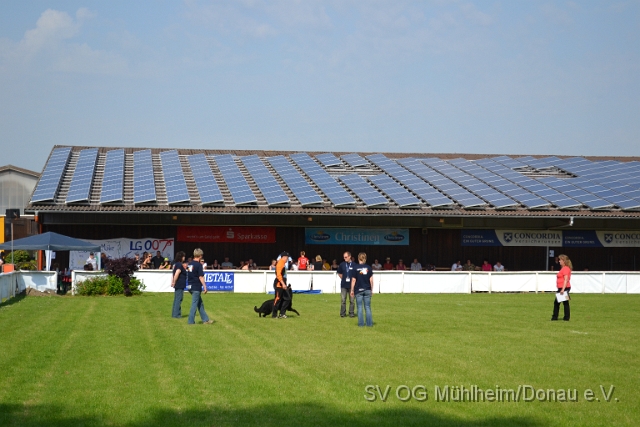 DSC_1233.JPG