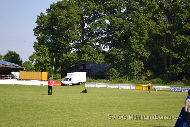 DSC_1235.JPG