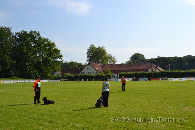 DSC_1244.JPG