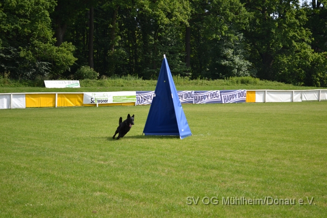 DSC_1251.JPG