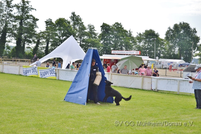 DSC_1252.JPG