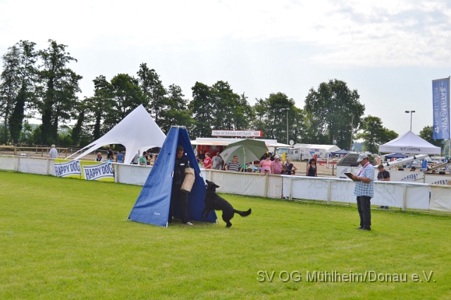 DSC_1253.JPG