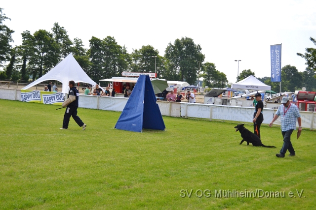 DSC_1254.JPG