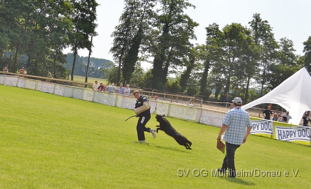 DSC_1255.JPG