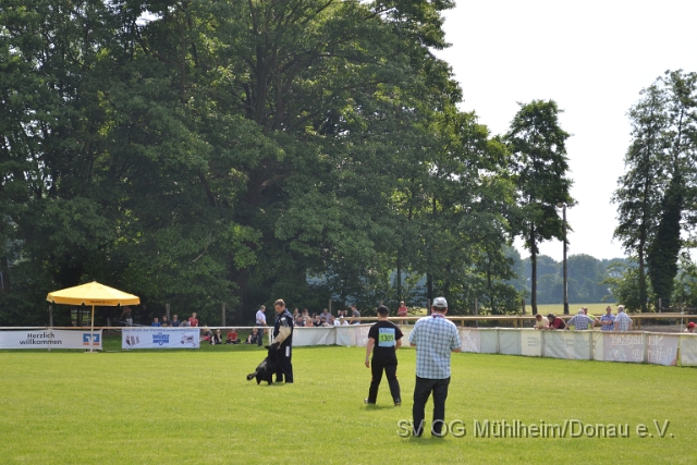 DSC_1256.JPG