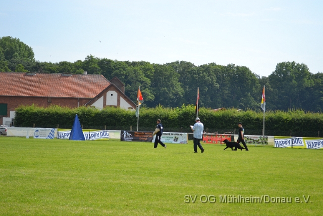 DSC_1257.JPG