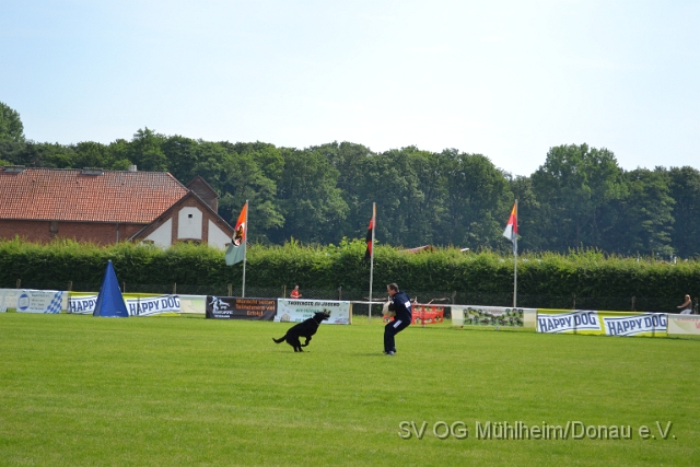 DSC_1259.JPG